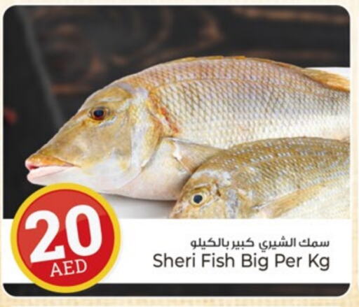 available at Kenz Hypermarket in UAE - Sharjah / Ajman