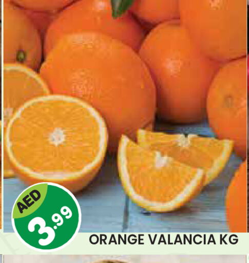 Orange from Valancia available at Baniyas Spike  in UAE - Abu Dhabi