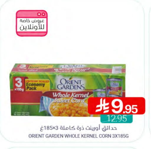 available at Muntazah Markets in KSA, Saudi Arabia, Saudi - Qatif