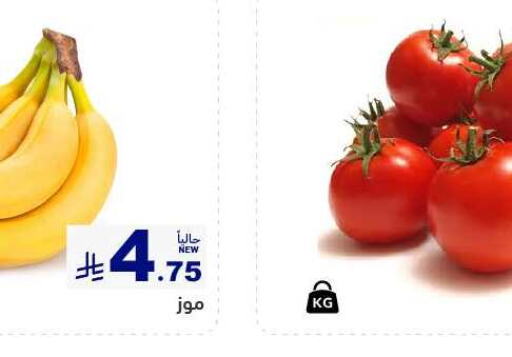 موز available at أسواق رامز in مملكة العربية السعودية, السعودية, سعودية - تبوك