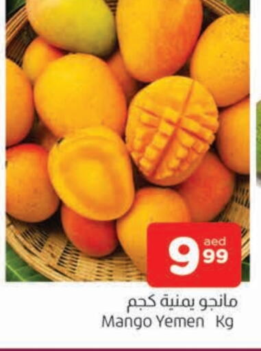 زيبا زيبا from Yemen available at المدينة in الإمارات العربية المتحدة , الامارات - الشارقة / عجمان