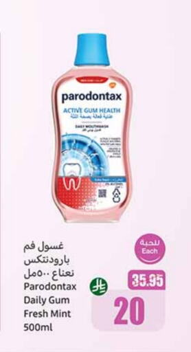 Mint available at Othaim Markets in KSA, Saudi Arabia, Saudi - Wadi ad Dawasir