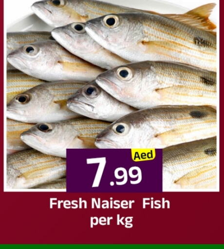 الأسماك الطازجة in مبارك هايبرماركت الشارقة, UAE Offers - الإمارات العربية المتحدة available at مبارك هايبرماركت الشارقة in الإمارات العربية المتحدة , الامارات - الشارقة / عجمان