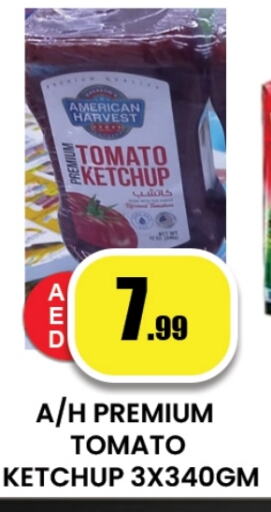 Tomato Ketchup available at Zain Mart Supermarket in UAE - Ras al Khaimah
