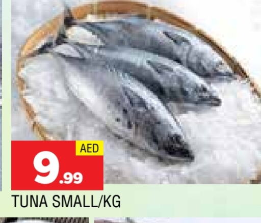 تونة available at المدينة in الإمارات العربية المتحدة , الامارات - الشارقة / عجمان