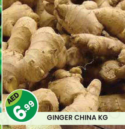 Ginger from China available at Baniyas Spike  in UAE - Abu Dhabi