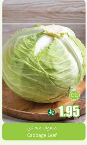 كرنب available at أسواق عبد الله العثيم in مملكة العربية السعودية, السعودية, سعودية - خميس مشيط