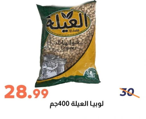 Pulses, Beans & Grains in Ghallab Market, Egypt Offers - Egypt available at Ghallab Market in Egypt - Cairo