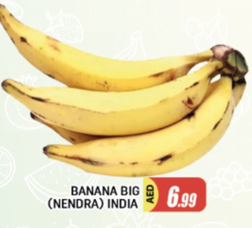موز from India available at المدينة in الإمارات العربية المتحدة , الامارات - الشارقة / عجمان
