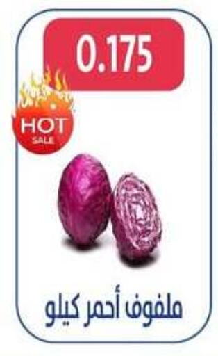 Cabbage available at Al Jahra Cooperative Society in Kuwait - Jahra Governorate