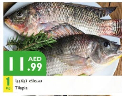 available at Istanbul Supermarket in UAE - Ras al Khaimah