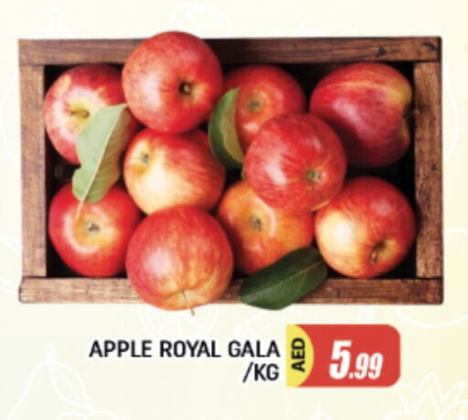 Apples available at AL MADINA in UAE - Sharjah / Ajman