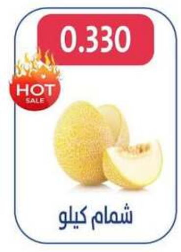 Sweet melon available at Al Jahra Cooperative Society in Kuwait - Jahra Governorate