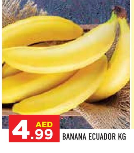 Banana from Ecuador available at Baniyas Spike  in UAE - Ras al Khaimah