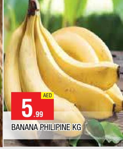 موز available at المدينة in الإمارات العربية المتحدة , الامارات - الشارقة / عجمان