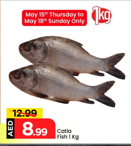Fresh Fish in Mark & Save, UAE Offers - United Arab Emirates available at Mark & Save in UAE - Abu Dhabi