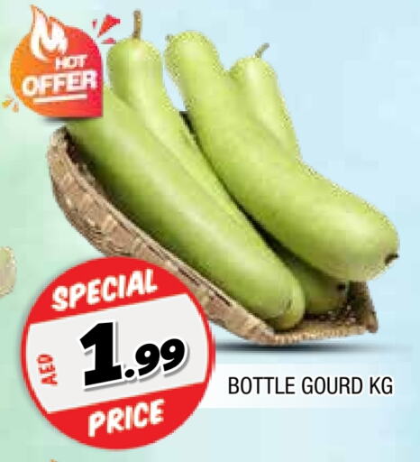 Gourd available at AL MADINA in UAE - Sharjah / Ajman