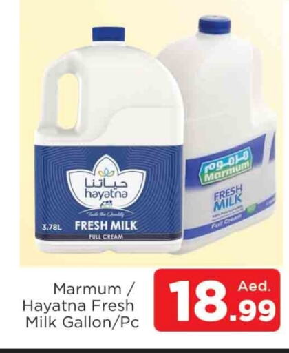 HAYATNA Fresh Milk available at AL MADINA in UAE - Sharjah / Ajman