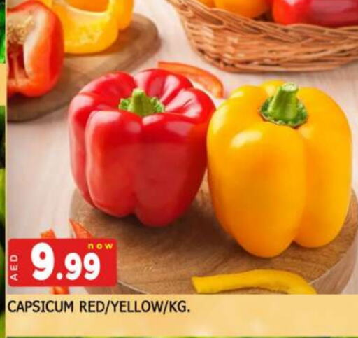 Chilli / Capsicum available at AL MADINA in UAE - Sharjah / Ajman
