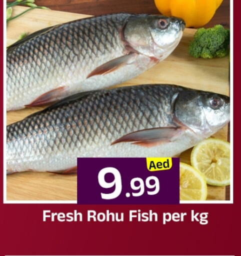 الأسماك الطازجة in مبارك هايبرماركت الشارقة, UAE Offers - الإمارات العربية المتحدة available at مبارك هايبرماركت الشارقة in الإمارات العربية المتحدة , الامارات - الشارقة / عجمان