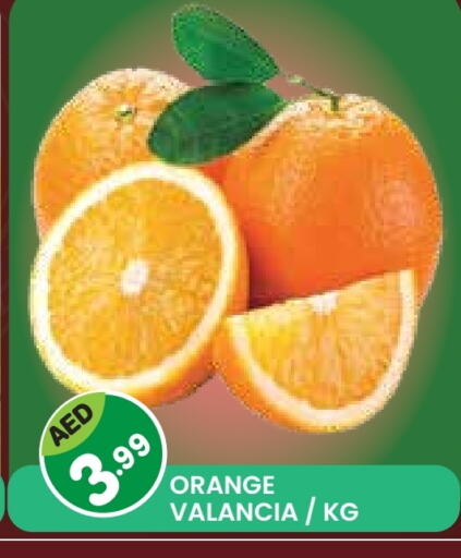 برتقال from Valancia available at سنابل بني ياس in الإمارات العربية المتحدة , الامارات - أم القيوين‎