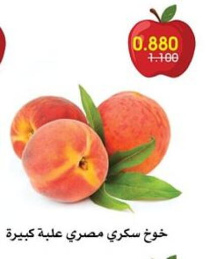 Peach available at Al Rawda & Hawally Coop Society in Kuwait - Kuwait City