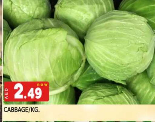 كرنب available at المدينة in الإمارات العربية المتحدة , الامارات - الشارقة / عجمان