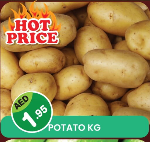 Potato available at Fresh Spike Supermarket in UAE - Dubai