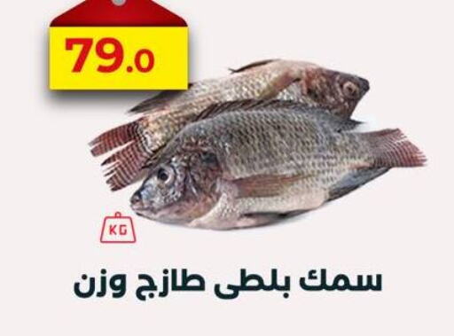 available at عرفة ماركت in Egypt - القاهرة