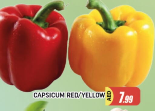 Chilli / Capsicum available at AL MADINA in UAE - Sharjah / Ajman