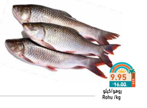 Fresh Fish in Aswaq Ramez, UAE Offers - United Arab Emirates available at Aswaq Ramez in UAE - Abu Dhabi