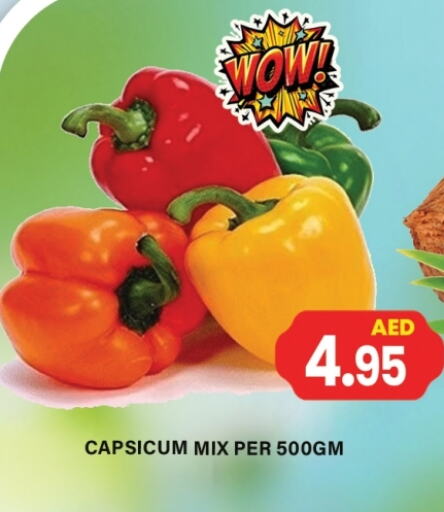 Chilli / Capsicum available at Gulf Hypermarket LLC in UAE - Ras al Khaimah