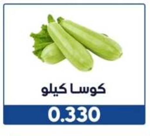 Zucchini available at Wafra Co-operative Society in Kuwait - Ahmadi Governorate