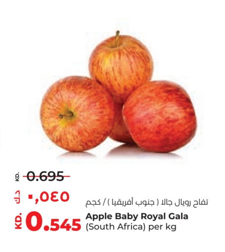 Apples from South Africa available at Lulu Hypermarket  in Kuwait - Jahra Governorate