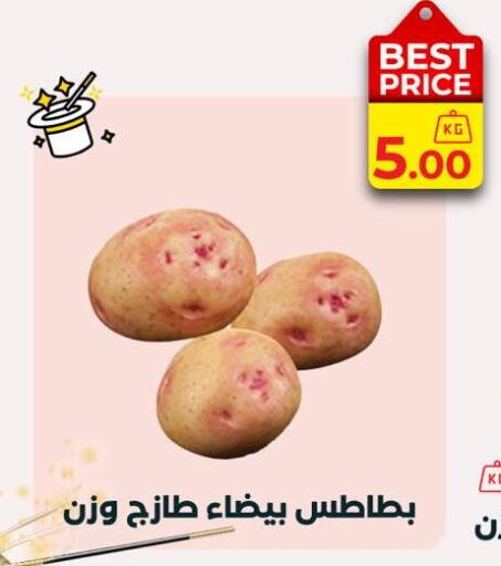 Potato available at Arafa Market in Egypt - Cairo