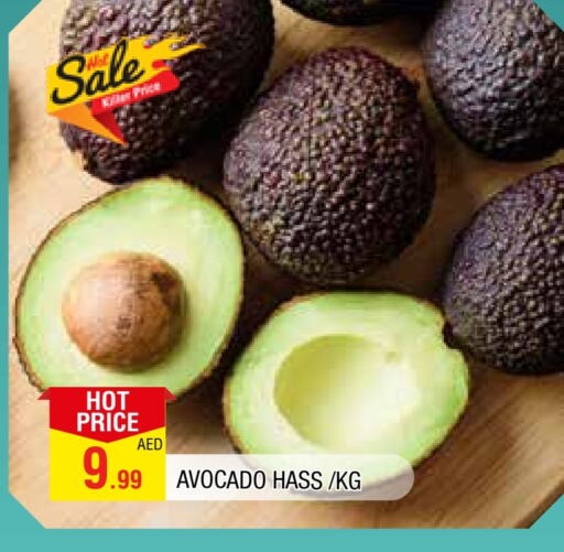 أفوكادو available at المدينة in الإمارات العربية المتحدة , الامارات - الشارقة / عجمان