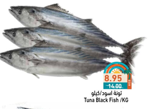 تونة available at أسواق رامز in الإمارات العربية المتحدة , الامارات - الشارقة / عجمان