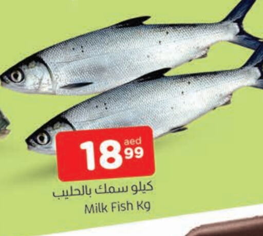 available at AL MADINA in UAE - Sharjah / Ajman