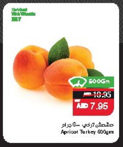 Apricot available at سبار هايبرماركت in الإمارات العربية المتحدة , الامارات - ٱلْعَيْن‎