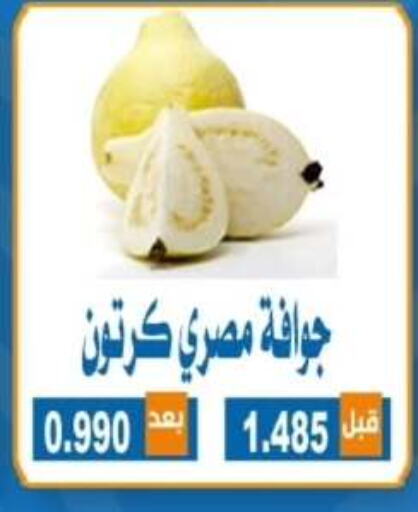 Fresh Fruits in Alshuhada co.op, Kuwait Offers - Kuwait Guava available at Alshuhada co.op in Kuwait - Ahmadi Governorate