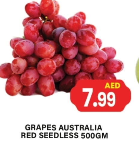 Fresh Fruits in Gulf Hypermarket LLC, UAE Offers - United Arab Emirates Grapes from Australia available at Gulf Hypermarket LLC in UAE - Ras al Khaimah