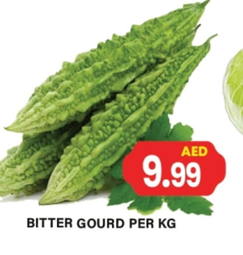 Fresh Vegetables in Gulf Hypermarket LLC, UAE Offers - United Arab Emirates Gourd available at Gulf Hypermarket LLC in UAE - Ras al Khaimah