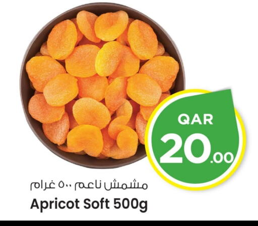 Apricot available at Mark & Save  in Qatar - Al-Shahaniya