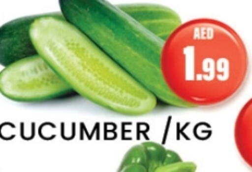 Cucumber available at Zain Mart Supermarket in UAE - Ras al Khaimah