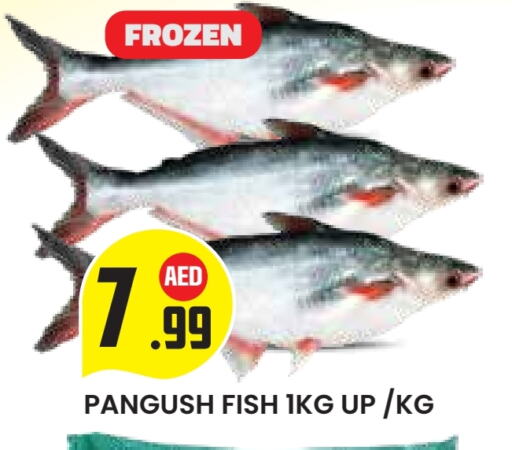 available at سنابل بني ياس in الإمارات العربية المتحدة , الامارات - ٱلْعَيْن‎