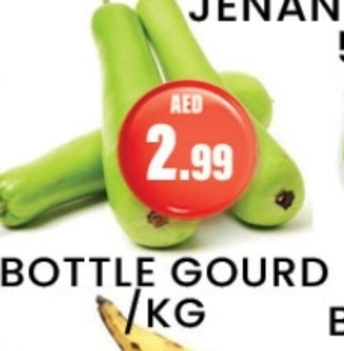 Gourd available at Zain Mart Supermarket in UAE - Ras al Khaimah