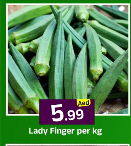 Lady's finger available at Mubarak Hypermarket Sharjah in UAE - Sharjah / Ajman