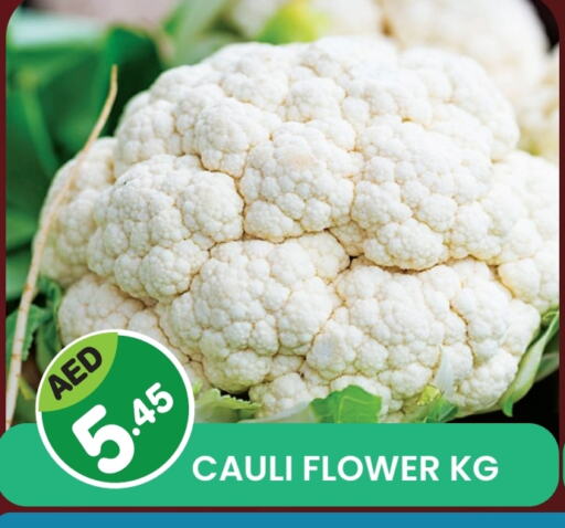 available at فريش سبايك سوبرماركت in الإمارات العربية المتحدة , الامارات - دبي