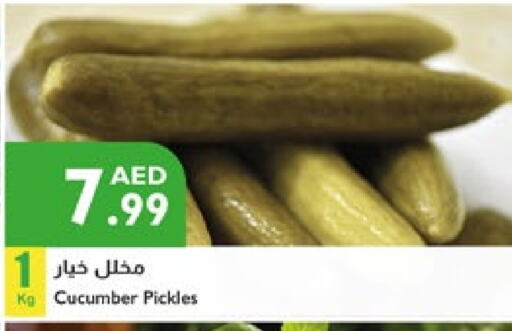 Pickle available at Istanbul Supermarket in UAE - Ras al Khaimah