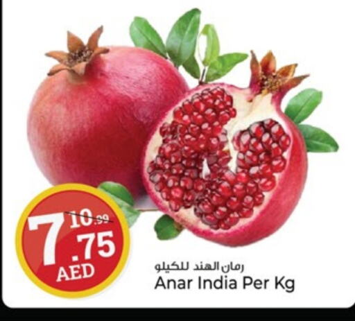رمان from India available at كنز هايبرماركت in الإمارات العربية المتحدة , الامارات - الشارقة / عجمان